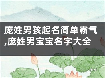 庞姓男孩起名简单霸气,庞姓男宝宝名字大全