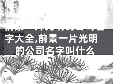 前景一片光明的公司名字大全,前景一片光明的公司名字叫什么