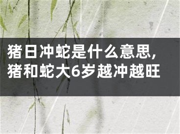 猪日冲蛇是什么意思,猪和蛇大6岁越冲越旺