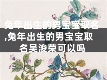 兔年出生的男宝宝取名,兔年出生的男宝宝取名吴浚荣可以吗