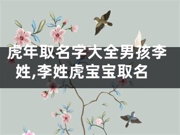 虎年取名字大全男孩李姓,李姓虎宝宝取名