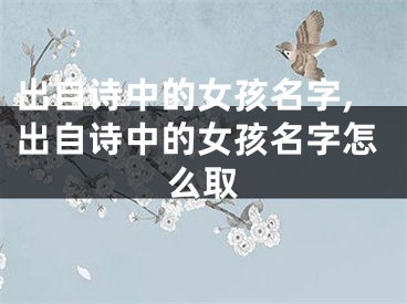 出自诗中的女孩名字,出自诗中的女孩名字怎么取