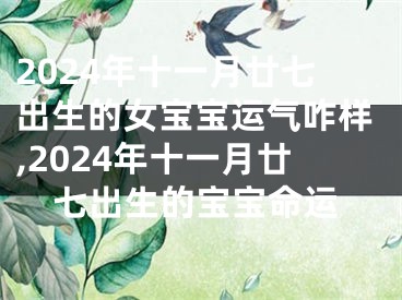2024年十一月廿七出生的女宝宝运气咋样,2024年十一月廿七出生的宝宝命运