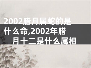 2002腊月属蛇的是什么命,2002年腊月十二是什么属相