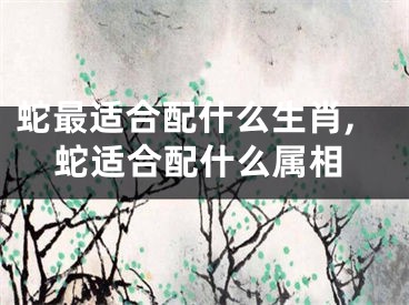 蛇最适合配什么生肖,蛇适合配什么属相