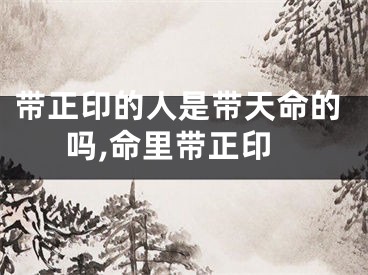 带正印的人是带天命的吗,命里带正印