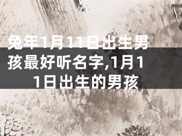 兔年1月11日出生男孩最好听名字,1月11日出生的男孩