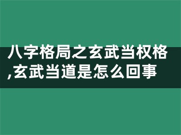 八字格局之玄武当权格,玄武当道是怎么回事