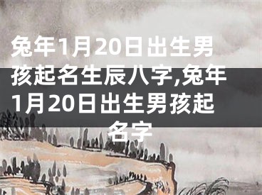 兔年1月20日出生男孩起名生辰八字,兔年1月20日出生男孩起名字