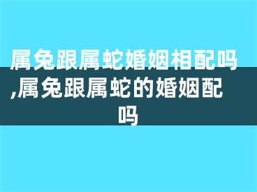 属兔跟属蛇婚姻相配吗,属兔跟属蛇的婚姻配吗