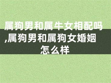 属狗男和属牛女相配吗,属狗男和属狗女婚姻怎么样