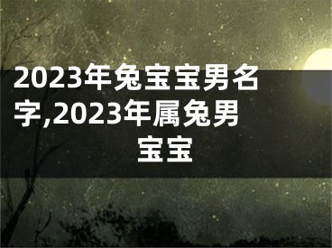2023年兔宝宝男名字,2023年属兔男宝宝