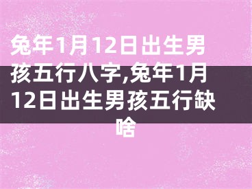 兔年1月12日出生男孩五行八字,兔年1月12日出生男孩五行缺啥