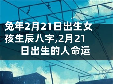 兔年2月21日出生女孩生辰八字,2月21日出生的人命运