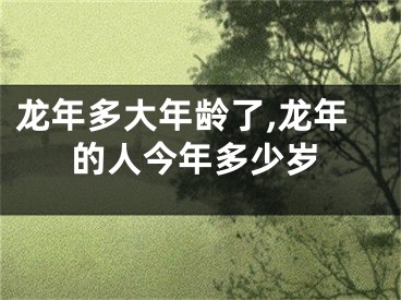 龙年多大年龄了,龙年的人今年多少岁