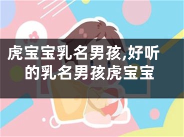虎宝宝乳名男孩,好听的乳名男孩虎宝宝