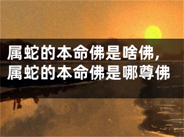 属蛇的本命佛是啥佛,属蛇的本命佛是哪尊佛