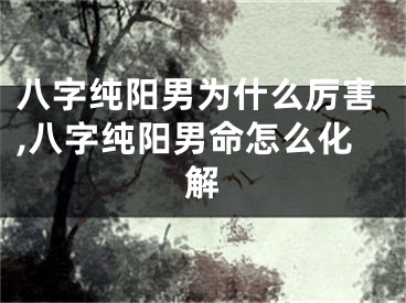 八字纯阳男为什么厉害,八字纯阳男命怎么化解