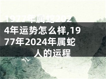 1977年属蛇2024年运势怎么样,1977年2024年属蛇人的运程