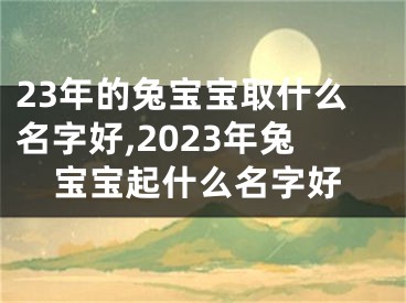 23年的兔宝宝取什么名字好,2023年兔宝宝起什么名字好