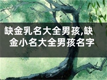 缺金乳名大全男孩,缺金小名大全男孩名字
