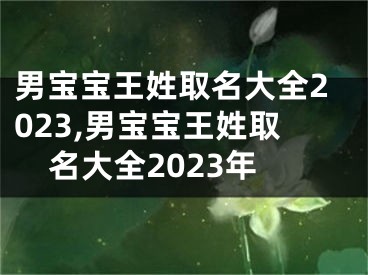 男宝宝王姓取名大全2023,男宝宝王姓取名大全2023年