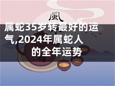 属蛇35岁转最好的运气,2024年属蛇人的全年运势