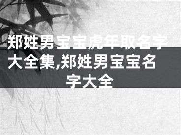 郑姓男宝宝虎年取名字大全集,郑姓男宝宝名字大全
