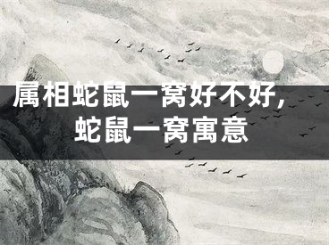 属相蛇鼠一窝好不好,蛇鼠一窝寓意