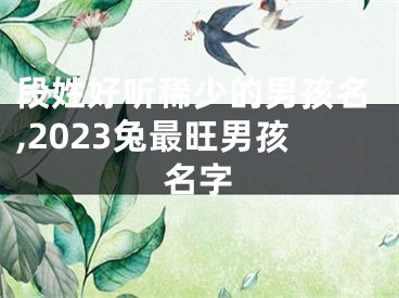 段姓好听稀少的男孩名,2023兔最旺男孩名字