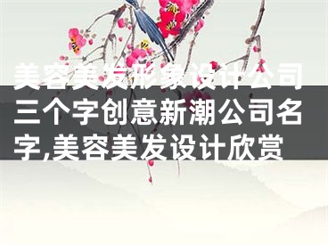 美容美发形象设计公司三个字创意新潮公司名字,美容美发设计欣赏