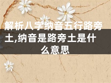 解析八字纳音五行路旁土,纳音是路旁土是什么意思