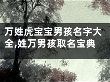 万姓虎宝宝男孩名字大全,姓万男孩取名宝典