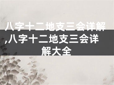 八字十二地支三会详解,八字十二地支三会详解大全