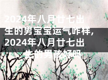 2024年八月廿七出生的男宝宝运气咋样,2024年八月廿七出生的男孩好吗
