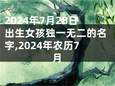2024年7月28日出生女孩独一无二的名字,2024年农历7月