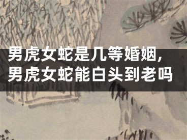 男虎女蛇是几等婚姻,男虎女蛇能白头到老吗