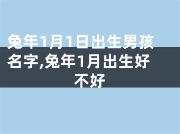 兔年1月1日出生男孩名字,兔年1月出生好不好