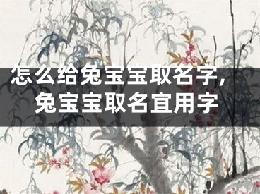 怎么给兔宝宝取名字,兔宝宝取名宜用字