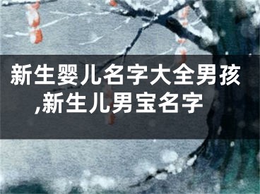 新生婴儿名字大全男孩,新生儿男宝名字