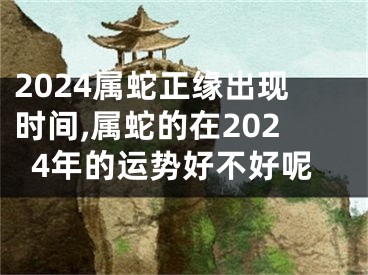 2024属蛇正缘出现时间,属蛇的在2024年的运势好不好呢