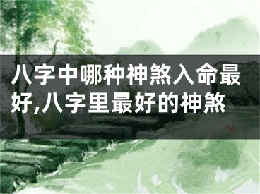 八字中哪种神煞入命最好,八字里最好的神煞