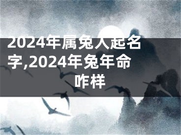 2024年属兔人起名字,2024年兔年命咋样