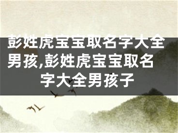 彭姓虎宝宝取名字大全男孩,彭姓虎宝宝取名字大全男孩子