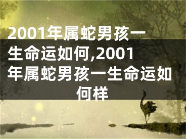 2001年属蛇男孩一生命运如何,2001年属蛇男孩一生命运如何样