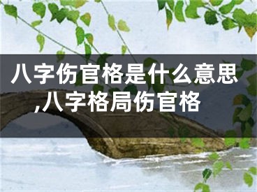 八字伤官格是什么意思,八字格局伤官格