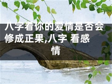 八字看你的爱情是否会修成正果,八字 看感情