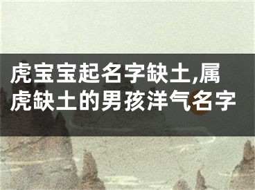 虎宝宝起名字缺土,属虎缺土的男孩洋气名字