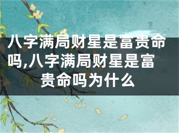 八字满局财星是富贵命吗,八字满局财星是富贵命吗为什么