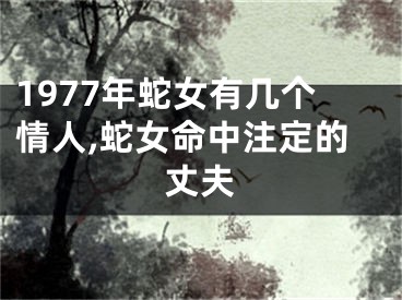 1977年蛇女有几个情人,蛇女命中注定的丈夫